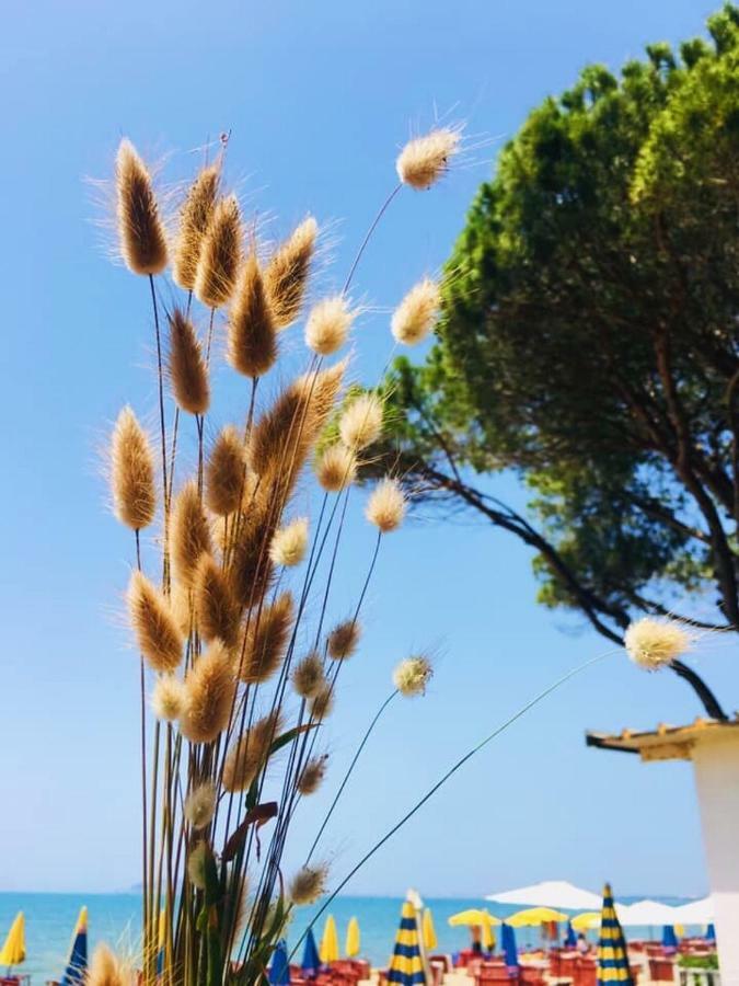 Holiday Home Pishat E Buta 28 Golem  Esterno foto